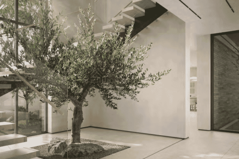 Müüa villa asukohaga Dubai, AÜE: 3 magamistoaga, 168 m² Nr 680274 - pilt 8