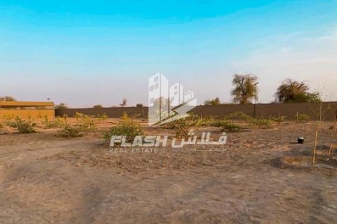 Ras Al Khaimah, BAE’de satılık farm 23226 m&sup2; No 656909 - fotoğraf 5