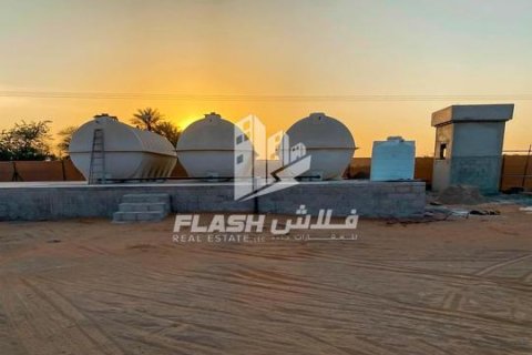 Ras Al Khaimah, BAE’de satılık farm 23226 m&sup2; No 656909 - fotoğraf 9
