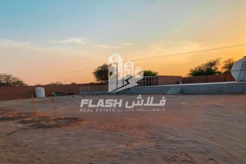 Ras Al Khaimah, BAE’de satılık farm 23226 m&sup2; No 656909 - fotoğraf 7
