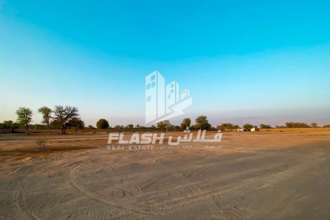 Ras Al Khaimah, BAE’de satılık farm 23226 m&sup2; No 656909 - fotoğraf 3