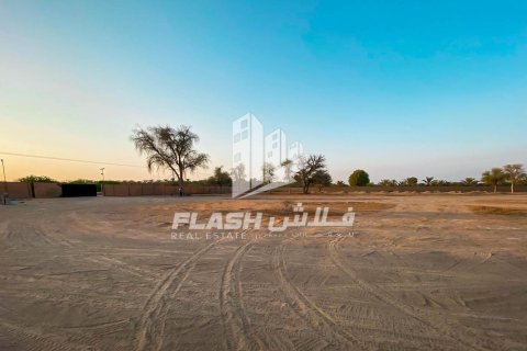 Ras Al Khaimah, BAE’de satılık farm 23226 m&sup2; No 656909 - fotoğraf 6