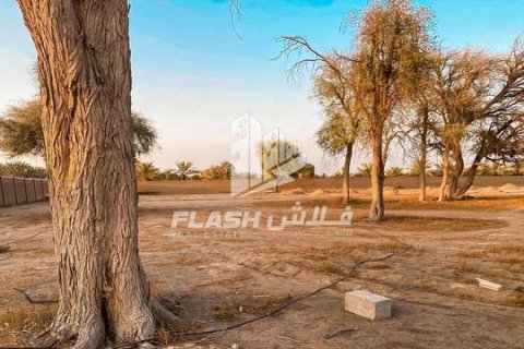 Ras Al Khaimah, BAE’de satılık farm 23226 m&sup2; No 656909 - fotoğraf 8