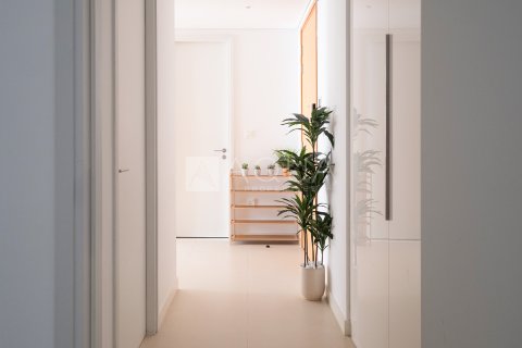 Bluewaters, Dubai, संयुक्त अरब अमीरात में अपार्टमेंट, 2 बेडरूम, 134.5 वर्ग मीटर, संख्या 652021 - फ़ोटो 26