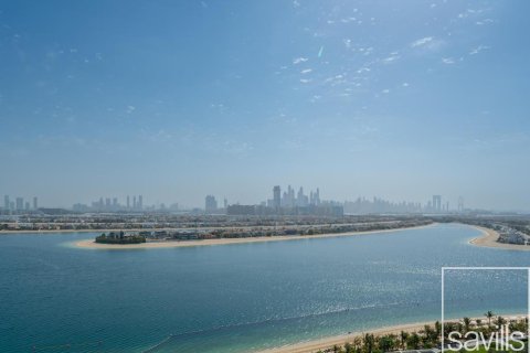 阿联酋 Dubai Palm Jumeirah 待售 : 2 卧, 205.78 平方米 , 编号747232 - 照片 13