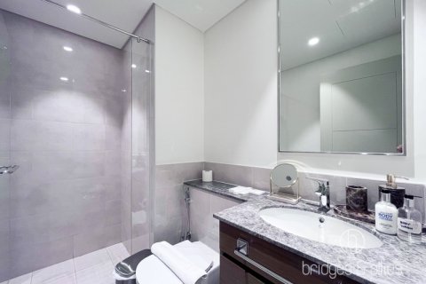 آپارتمان برای اجاره در Downtown Dubai (Downtown Burj Dubai)، Dubai، امارات متحده عربی 3 خوابه ، 160 متر مربع ، شماره 697372 - تصویر 12