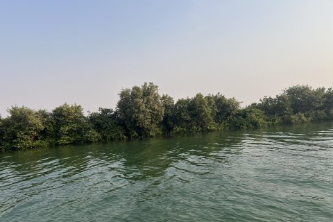 Terra para venda em Khor Al Beidah, Umm Al Quwain, EAU 111484 m2 № 656166 - foto 6