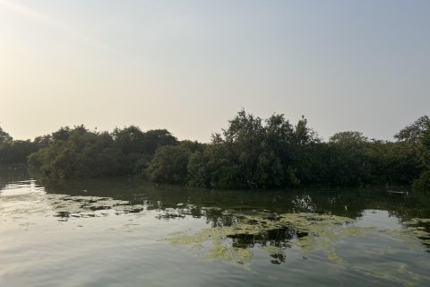 Terra para venda em Khor Al Beidah, Umm Al Quwain, EAU 111484 m2 № 656166 - foto 11