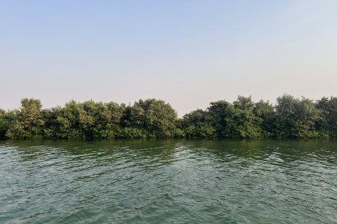 Terra para venda em Khor Al Beidah, Umm Al Quwain, EAU 111484 m2 № 656166 - foto 14