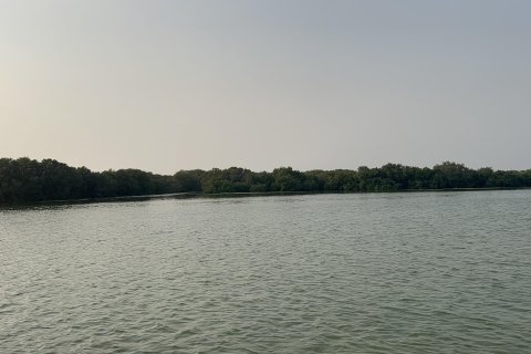 Terra para venda em Khor Al Beidah, Umm Al Quwain, EAU 111484 m2 № 656166 - foto 18