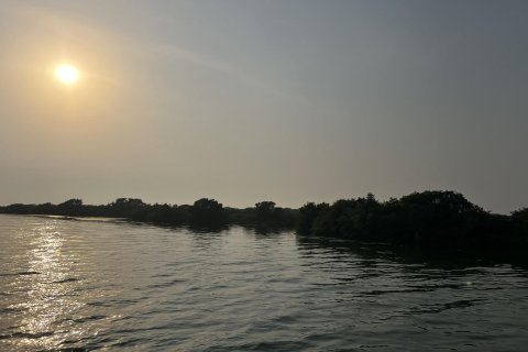 Terra para venda em Khor Al Beidah, Umm Al Quwain, EAU 111484 m2 № 656166 - foto 4