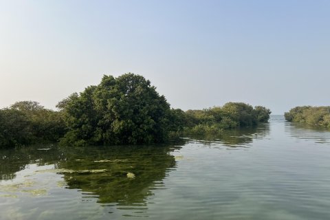 Terra para venda em Khor Al Beidah, Umm Al Quwain, EAU 111484 m2 № 656166 - foto 23