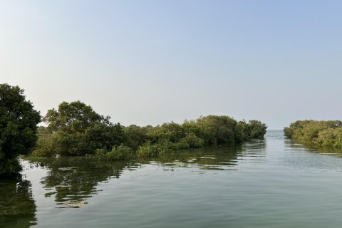 Terra para venda em Khor Al Beidah, Umm Al Quwain, EAU 111484 m2 № 656166 - foto 24