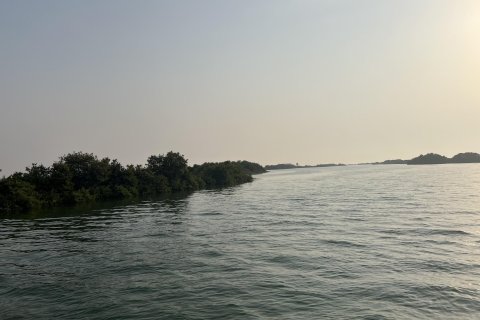 Terra para venda em Khor Al Beidah, Umm Al Quwain, EAU 111484 m2 № 656166 - foto 3