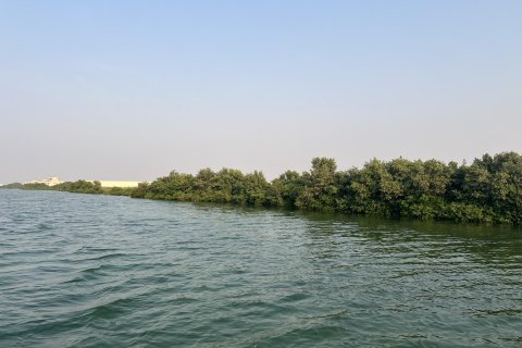 Terra para venda em Khor Al Beidah, Umm Al Quwain, EAU 111484 m2 № 656166 - foto 1