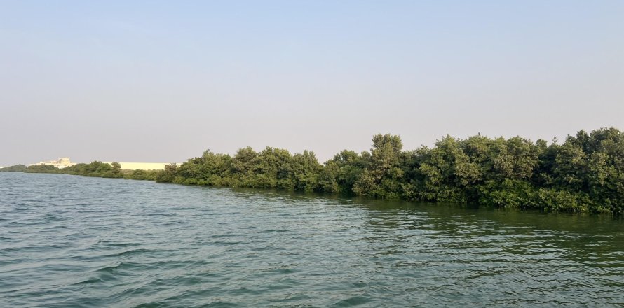 Terra em Khor Al Beidah, Umm Al Quwain, EAU 111484 m2 № 656166