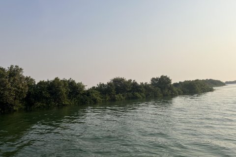 Terra para venda em Khor Al Beidah, Umm Al Quwain, EAU 111484 m2 № 656166 - foto 5