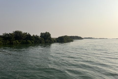 Terra para venda em Khor Al Beidah, Umm Al Quwain, EAU 111484 m2 № 656166 - foto 15