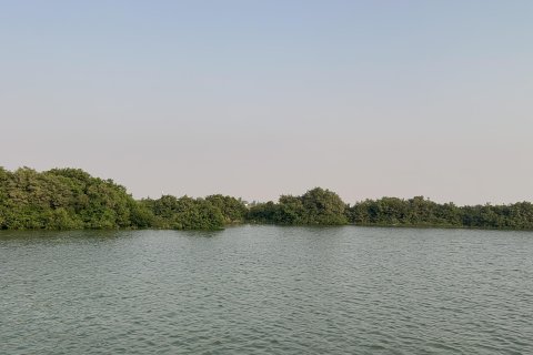 Terra para venda em Khor Al Beidah, Umm Al Quwain, EAU 111484 m2 № 656166 - foto 21