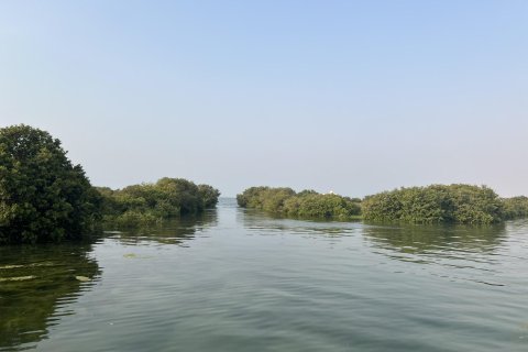 Terra para venda em Khor Al Beidah, Umm Al Quwain, EAU 111484 m2 № 656166 - foto 20