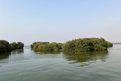 Terra para venda em Khor Al Beidah, Umm Al Quwain, EAU 111484 m2 № 656166 - foto 12