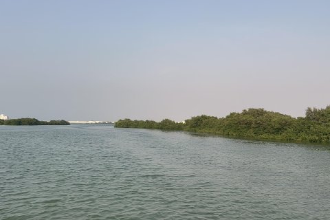 Terra para venda em Khor Al Beidah, Umm Al Quwain, EAU 111484 m2 № 656166 - foto 8