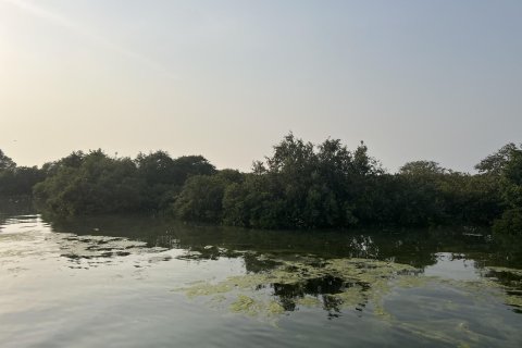 Terra para venda em Khor Al Beidah, Umm Al Quwain, EAU 111484 m2 № 656166 - foto 22