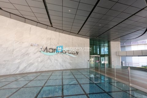 Byt v Al Reem Island, Abu Dhabi, SAE 4 ložnice, 154 m² Č.: 633413 - fotografie 17
