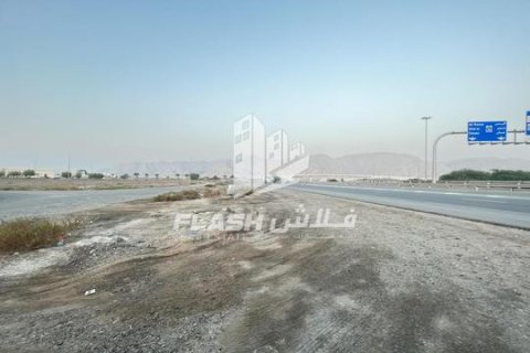 Tomt til salgs i Shamal Julphar, Ras Al Khaimah, Emiratene 10684 kvm Nr. 656470 - Foto 15