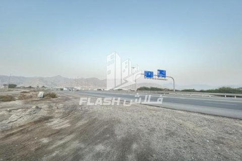 Tomt til salgs i Shamal Julphar, Ras Al Khaimah, Emiratene 10684 kvm Nr. 656470 - Foto 16
