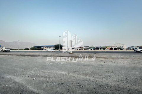 Tomt til salgs i Shamal Julphar, Ras Al Khaimah, Emiratene 10684 kvm Nr. 656470 - Foto 4