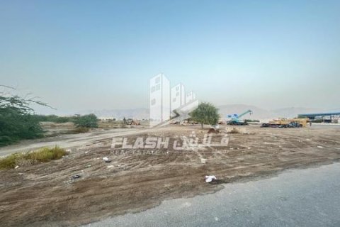 Tomt til salgs i Shamal Julphar, Ras Al Khaimah, Emiratene 10684 kvm Nr. 656470 - Foto 7