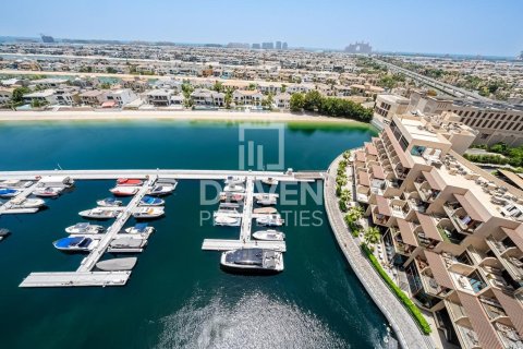 آپارتمان برای فروش در Palm Jumeirah، Dubai، امارات متحده عربی 3 خوابه ، 376.54 متر مربع ، شماره 743016 - تصویر 25