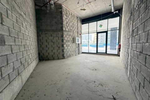 Obchod v Meydan, Dubai, SAE 33 m² Č.: 677335 - fotografie 4