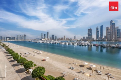 آپارتمان برای فروش در  Dubai Harbour، Dubai، امارات متحده عربی  2 خوابه ، 106.6 متر مربع ، شماره 669783 - تصویر 20