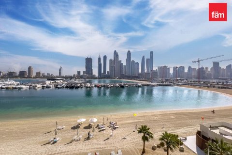 آپارتمان برای فروش در  Dubai Harbour، Dubai، امارات متحده عربی  2 خوابه ، 106.6 متر مربع ، شماره 669783 - تصویر 23