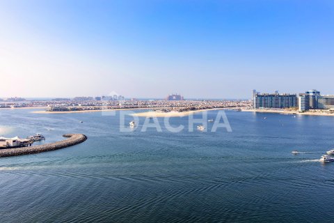 آپارتمان برای فروش در  Dubai Harbour، Dubai، امارات متحده عربی  2 خوابه ، 108 متر مربع ، شماره 707076 - تصویر 19