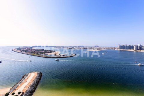 آپارتمان برای فروش در  Dubai Harbour، Dubai، امارات متحده عربی  2 خوابه ، 108 متر مربع ، شماره 707076 - تصویر 18