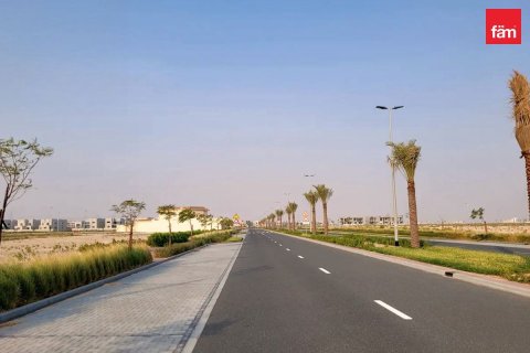 Pozemek v Jebel Ali, Dubai, SAE 968.7 m² Č.: 714301 - fotografie 6