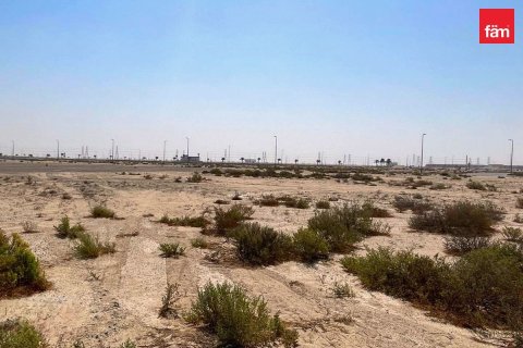 Pozemek v Jebel Ali, Dubai, SAE 968.7 m² Č.: 714301 - fotografie 3