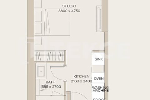 阿联酋 Dubai 待售 : 1 卧, 77 平方米 , 编号699394 - 照片 19
