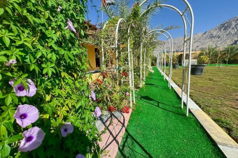Granja en venta en Al Rams, Ras Al Khaimah, EAU 1022 m2 № 656894 - foto 22
