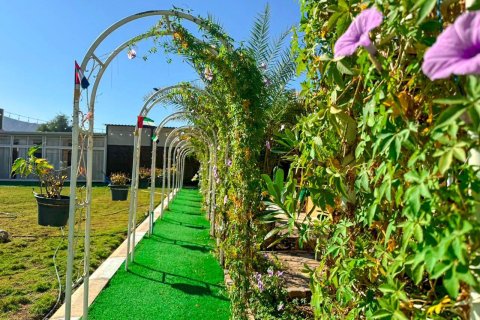 Granja en venta en Al Rams, Ras Al Khaimah, EAU 1022 m2 № 656894 - foto 7