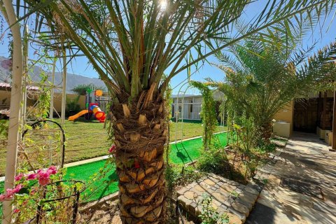 Granja en venta en Al Rams, Ras Al Khaimah, EAU 1022 m2 № 656894 - foto 26