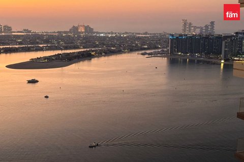 آپارتمان در Dubai Harbour، Dubai ، امارات متحده عربی 1 خوابه ، 66.1 متر مربع.  شماره 751998