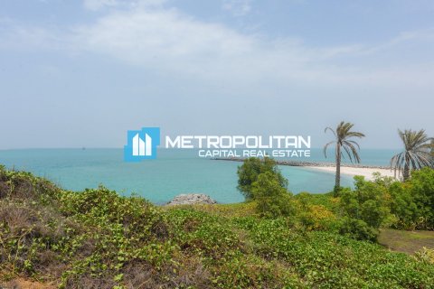Vila di Nurai Island, Abu Dhabi, UAE 5 bilik tidur, 8047.8 meter persegi № 630848 - foto 33
