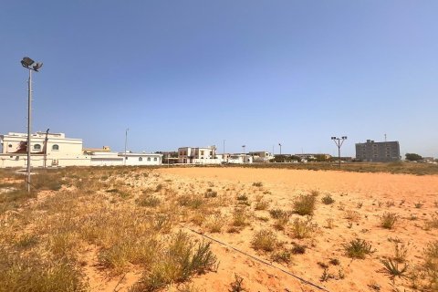 Tomt til salgs i Al Mairid, Ras Al Khaimah, Emiratene 1345 kvm Nr. 656669 - Foto 6