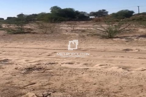 Купити земельна ділянка в Рас-эль-Хайма, ОАЕ 46451.1м2, № 663118 - фото 2