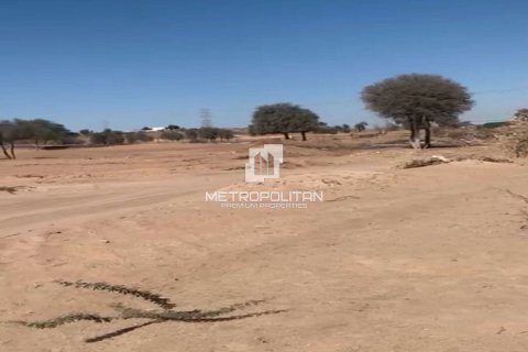 Купити земельна ділянка в Рас-эль-Хайма, ОАЕ 46451.1м2, № 663118 - фото 3