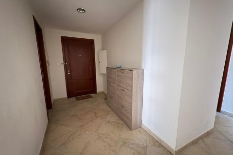 Apartment in Dubai, UAE 3 bedrooms, 224 sq.m. № 707773 - photo 10